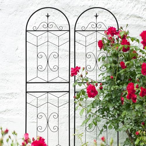 4 Pack 71x20in Garden Trellises with Black Metal Coating