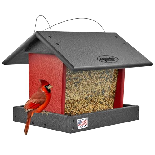 Poly Hanging Hopper Bird Feeder (Black & Red / Hanging)