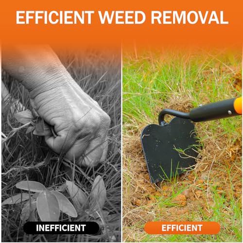 Garden Hoe Tool