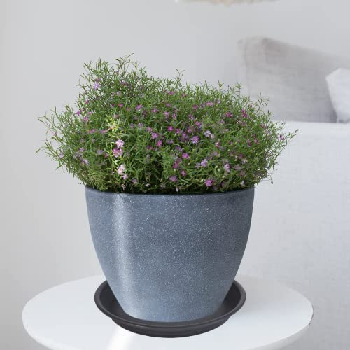 Plant Saucer Pot Tray 12 inch (12" - 4 Pack / Black)