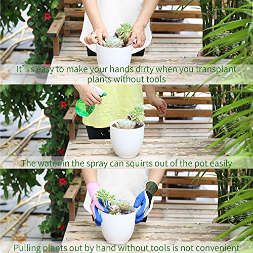 11Pcs Succulent Tools