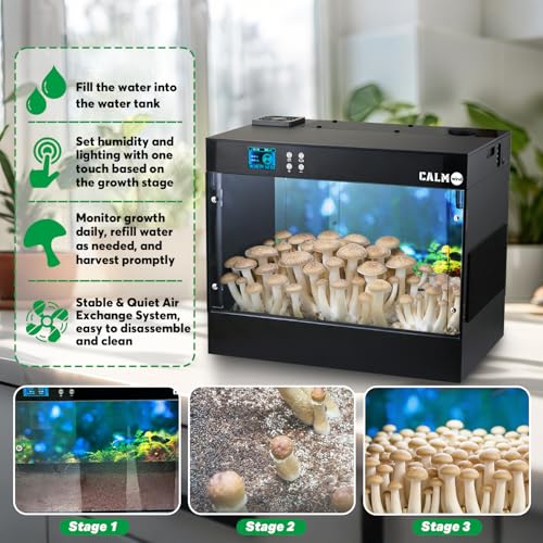 Smart Mushroom Grow Box Automatic Humidification and Water Spray