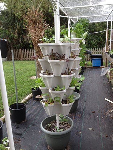 24 LARGE Vertical Gardening Planters (24 Count)