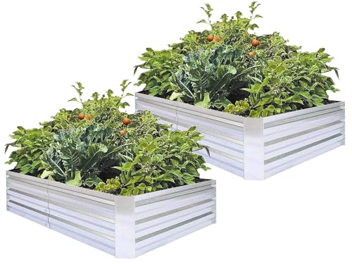 Galvanized Raised Garden Bed 6x3x1ft 2