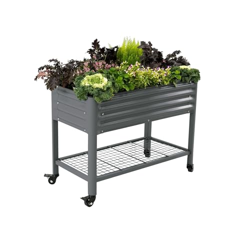Rolling Elevated Raised Garden Bed