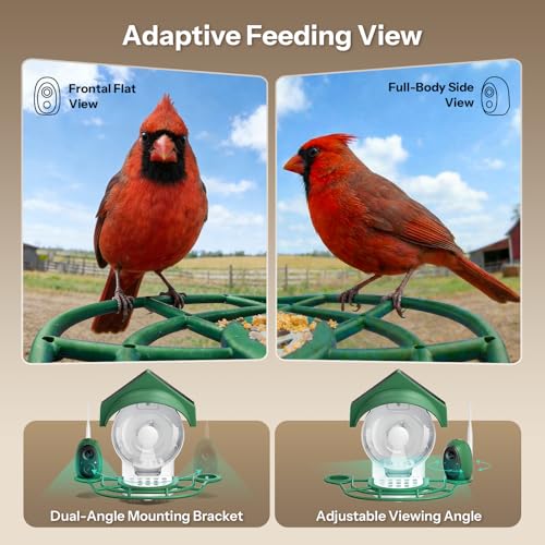 Smart Bird Feeder with Camera (52.96 Ounce)