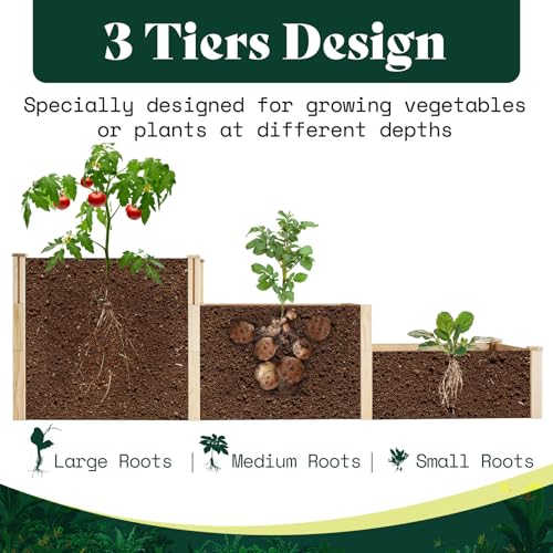 3 Tier Raised Garden Bed for Outdoor Gardening