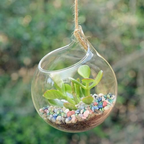 0.88 LB Colored Pea Gravel