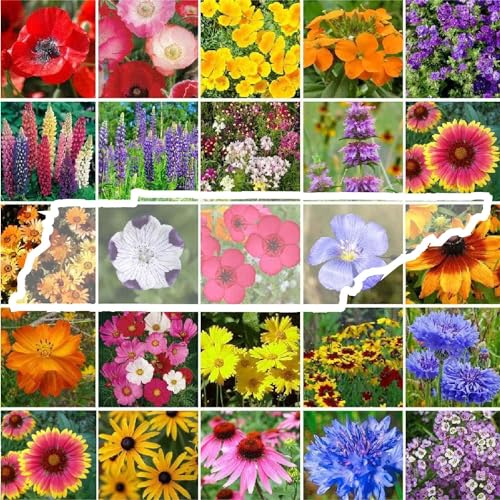 Tennessee Wildflower Mixed Seeds for Planting