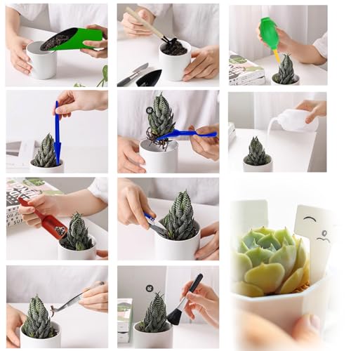 20PCS Set Succulent Tools Set (20 Count)