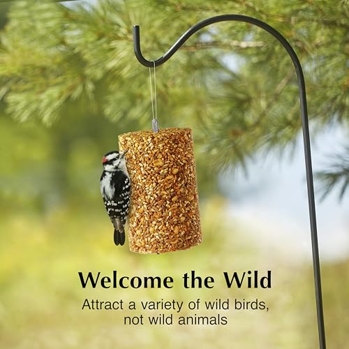 Ready to Use Hot Pepper Bird Seed Cylinder (35.5 Ounce)