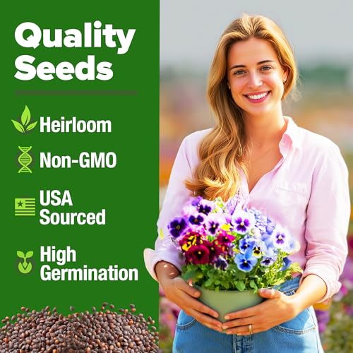 Pansy Swiss Giants Mix Seeds
