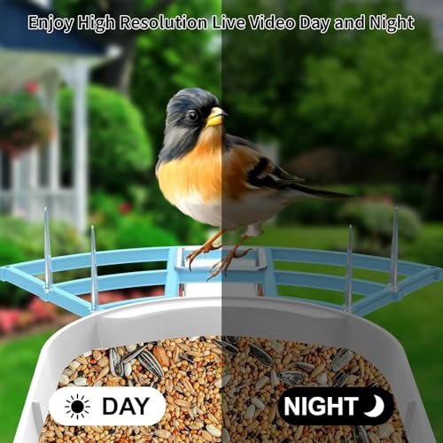 Bird Feeder with Camera