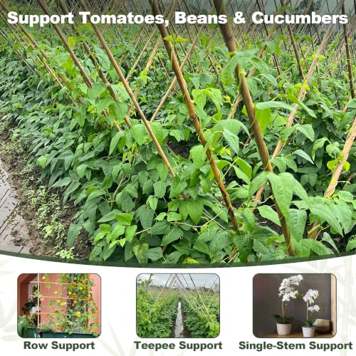 Natural Bamboo Poles (3FT-25PCS)