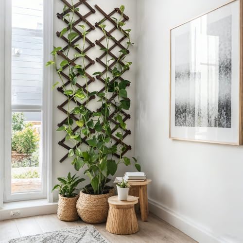 2Pcs Expandable Garden Trellis (2 Count)