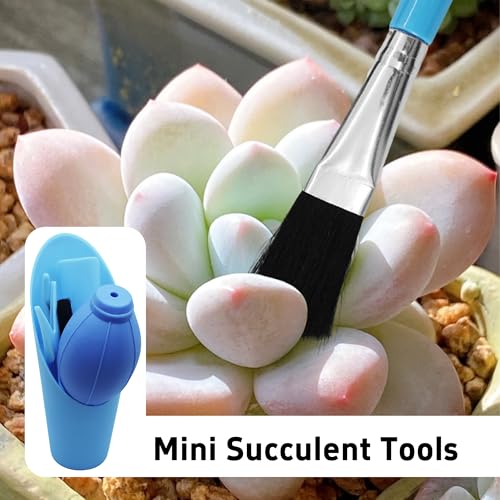 6Pcs Mini Succulent Tools Set (6 Count)
