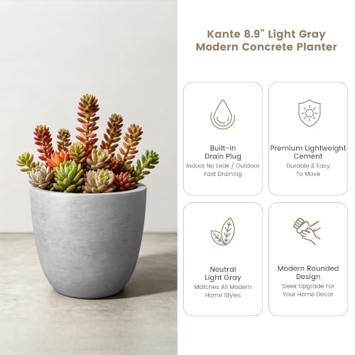 Small Round Bowl Pale Gray Concrete Planter 10" Dia (Natural Concrete / 10"d)