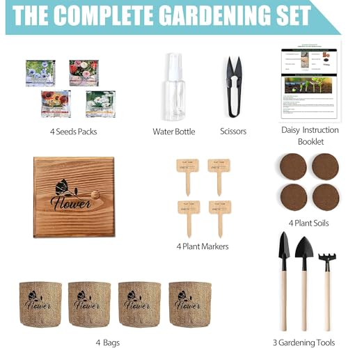 Indoor Daisy Garden Starter Kit (4 Count)
