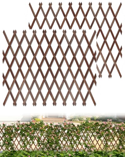 2 Pack Expandable Wooden Lattice Fence Panel (2 Pack / 3.2 x 6.1 ft)