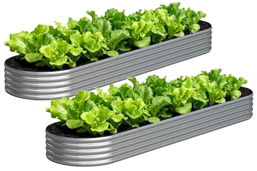 2PCS 12x2x1FT Galvanized Metal Raised Garden Bed (2 Count)