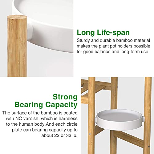 Tiered Plant Stand Indoor