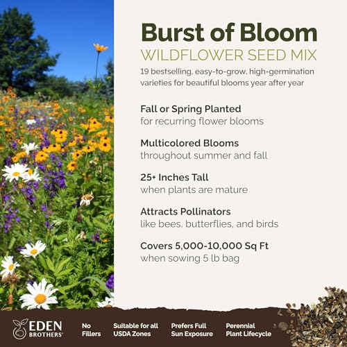 Burst of Bloom Wildflower Mixed Seeds for Planting