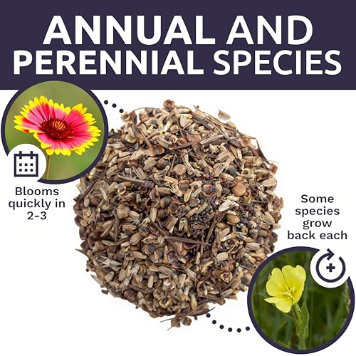 Texas Oklahoma Wildflower Seeds Mixture (15000 Count)