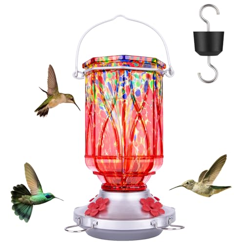 Hummingbird Feeders for Outdoors with Ant Moat