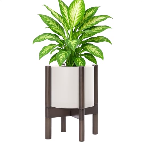 Plastic Pot with Walnut Wood Stand (Oatmeal Pot + Walnut Color Stand / 8 Inch)