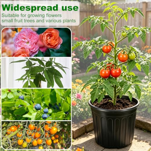 30 Pack 3 Gallon Flexible Plant Nursery Pots (3Gallon 30P)