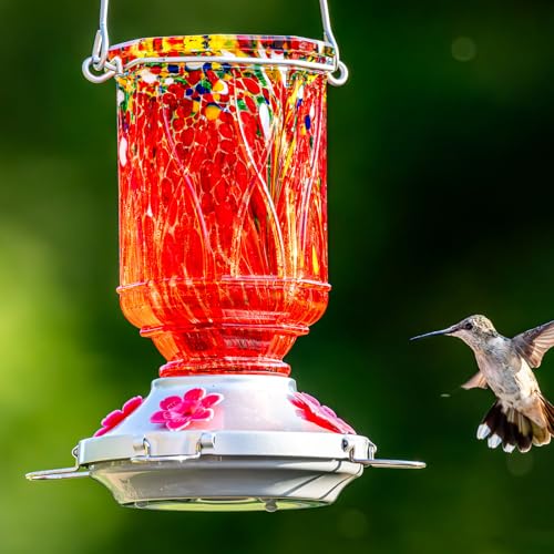 Hummingbird Feeders for Outdoors with Ant Moat