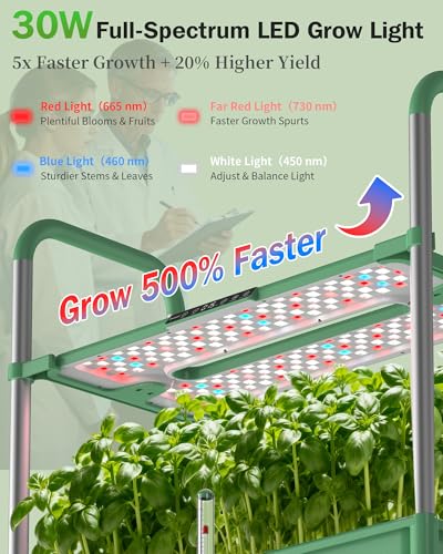 81 Pods Hydroponics Growing System Kit with Independent Water Pump