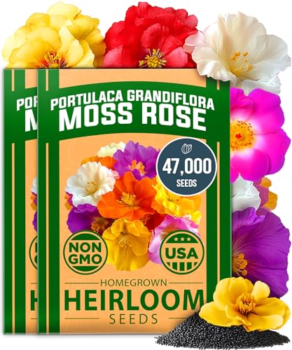 Moss Rose Portulaca Seeds (2 Count)