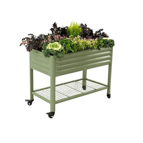 Rolling Elevated Raised Garden Bed