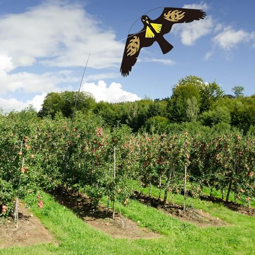 Bird Scarer Kite Without Pole Bird Hawk Flying Kite