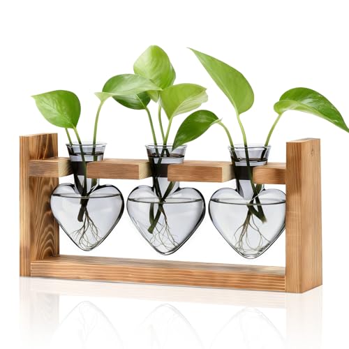 Plant Terrarium with Wooden Stand (Light Gray)