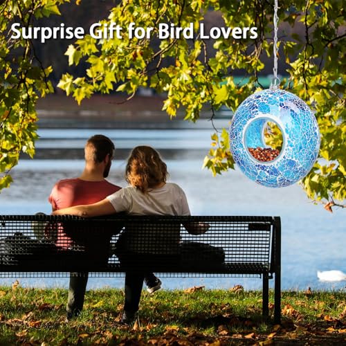Solar Bird Feeder