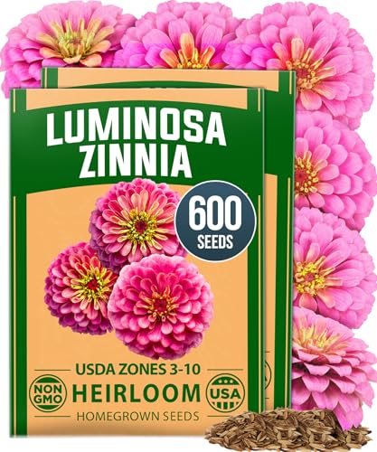 Luminosa Pink Zinnia Seeds (2 Count)