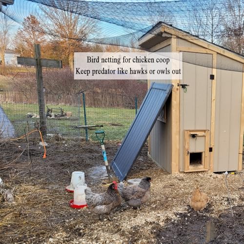 Bird Netting for Chicken Coop 100x100 Ft (100x100Ft-1")