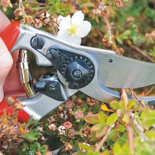 F9 Pruning Shears