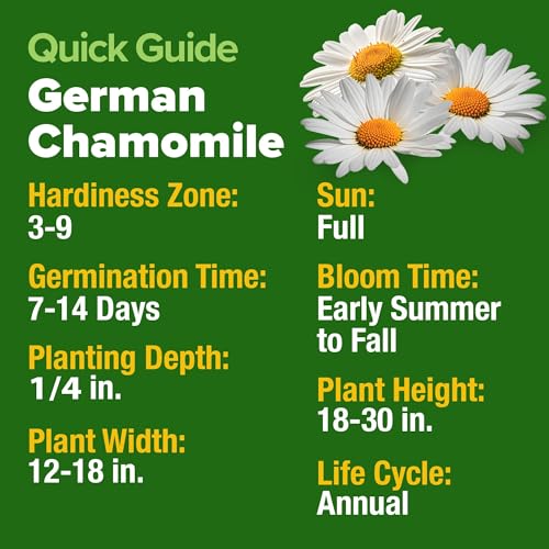 German Chamomile Seeds (2 Count)