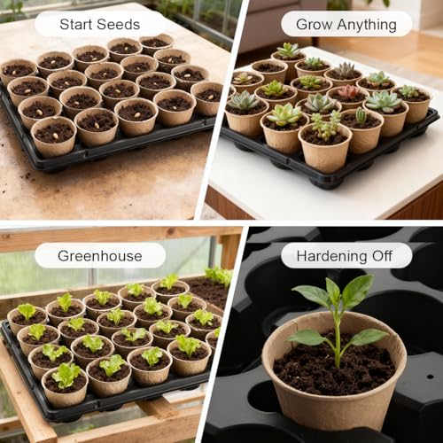 3.15 Inch Peat Pots 100 Pcs with 20 Cell Seedling Trays 5 Pcs (5 Count)