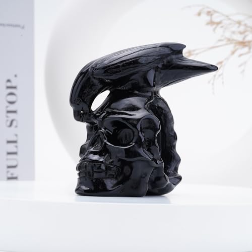 Natural Black Obsidian Crystal Skull and Crow Head Hand Carved Reiki Healing Stone Statue Healing Home Office Art Room Decoration (Obsidian / 3inch)