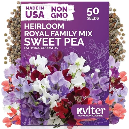 50 Royal Family Mix Sweet Pea Heirloom Flower Seeds