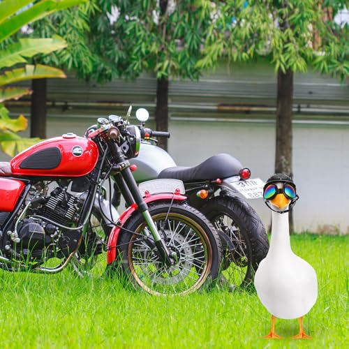 2 Pcs Helmet and Goggles Porch Goose Outfits Motorcycle Helmet Sunglasses for Plastic 23" Lawn Goose Statue Clothes Decoration Party Patio Yard Art (2 Count)