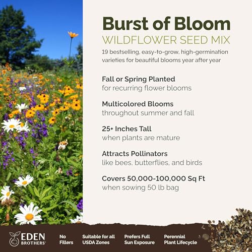 Burst of Bloom Wildflower Mixed Seeds for Planting