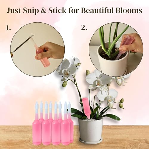 Liquid Orchid Fertilizer Spikes (Pack of 2 / Orchid Fertilizer)
