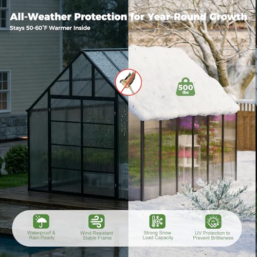 12x10x10 FT Polycarbonate Greenhouse with 2 Roof Vents (12x10x10 FT)
