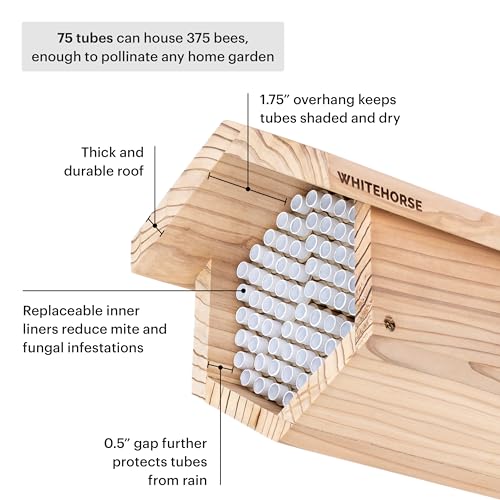 Premium Cedar Bee House