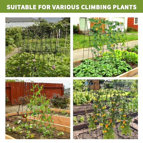 Cucumber Trellis 2 Pack (Steel Black / 39.4" H)